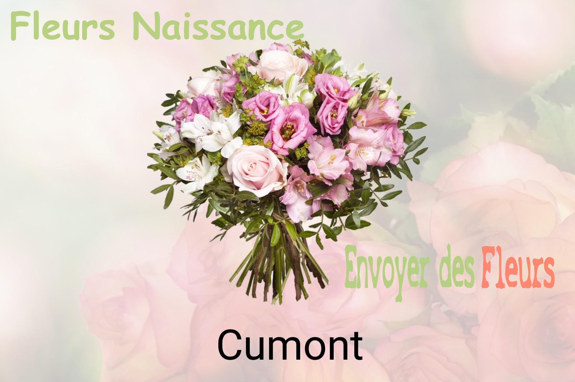 Bouquet de fleurs de naissance livré à Cumont